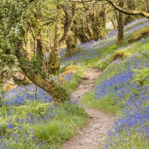 Hiking Trails Worth Traveling For
